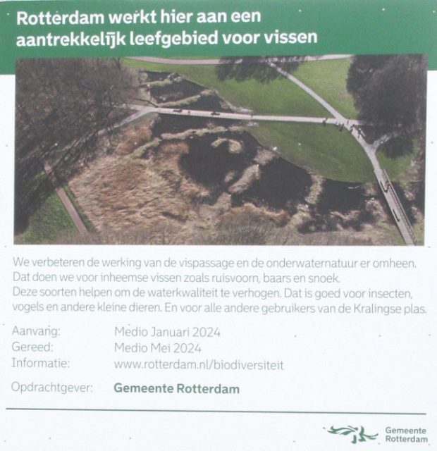 Bord Kralingse Plas: Rotterdam Werkt Aan Een Aantrekkelijk Leefgebied Voor Vissen